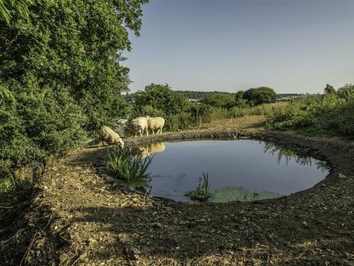 Leys At Valley View Farm