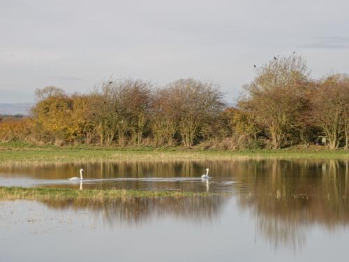 4 Bulmer Farm Lodge