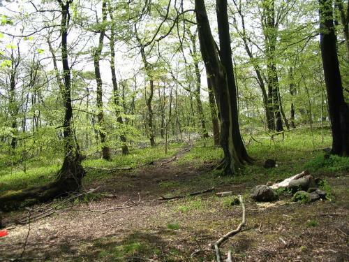 Fsc Malham Tarn Hostel