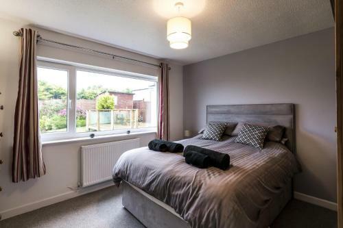 Meadow View - 3 Bedroom - Jameston
