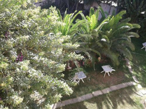Hostal Takad Dream Hostel Agadir