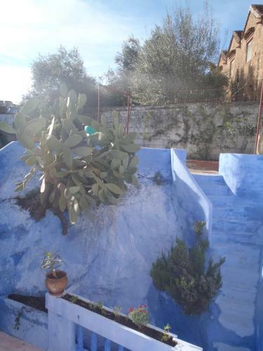 Bed & Breakfast Dar Dalia