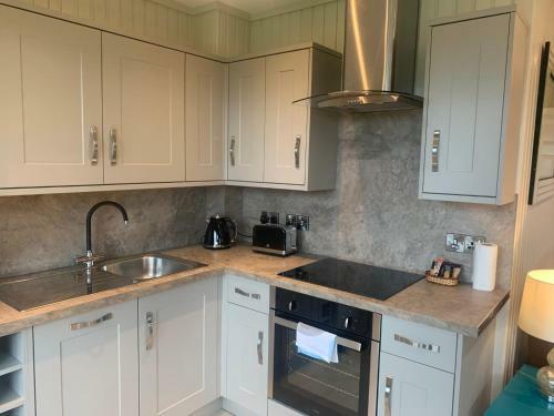 Birch Lodge 20 With Hot Tub Newton Stewart
