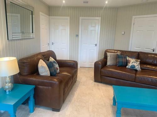 Birch Lodge 20 With Hot Tub Newton Stewart