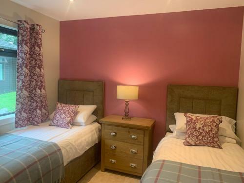 Birch Lodge 20 With Hot Tub Newton Stewart