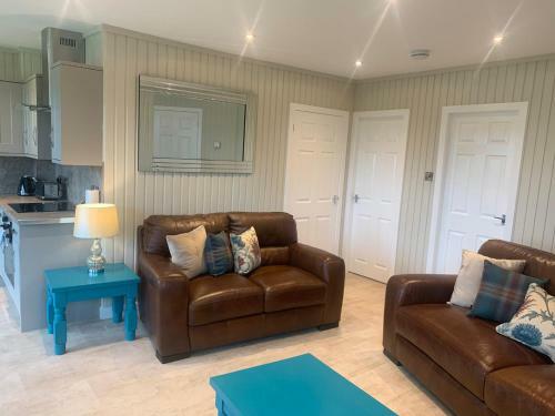 Birch Lodge 20 With Hot Tub Newton Stewart
