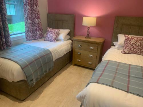 Birch Lodge 20 With Hot Tub Newton Stewart