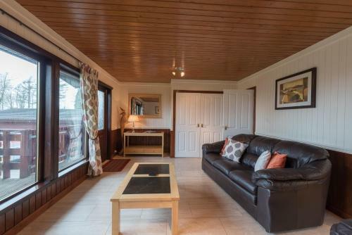 Conifer Lodge 25 With Hot Tub Newton Stewart