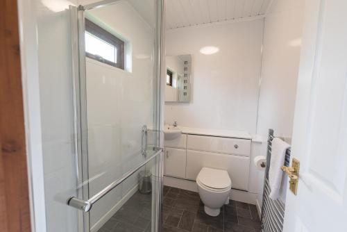 Conifer Lodge 8 With Hot Tub Newton Stewart