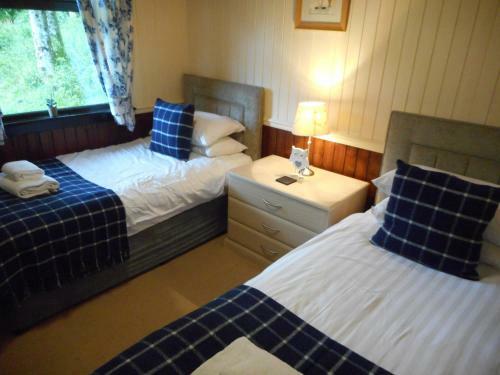 Birch Lodge 22 With Hot Tub Newton Stewart