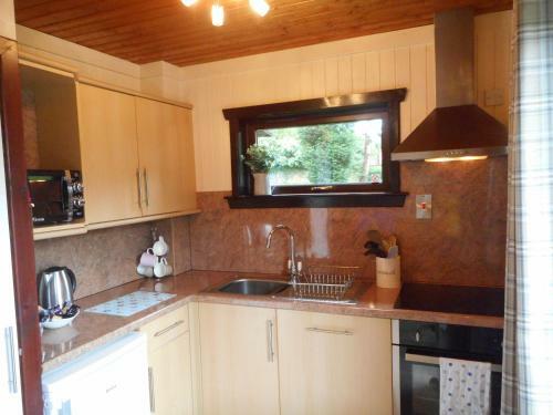 Birch Lodge 22 With Hot Tub Newton Stewart