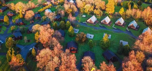 Birch Lodge 22 With Hot Tub Newton Stewart