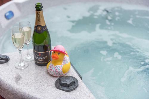 Birch Lodge 14 With Hot Tub Newton Stewart