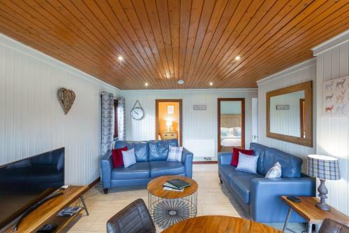 Birch Lodge 14 With Hot Tub Newton Stewart