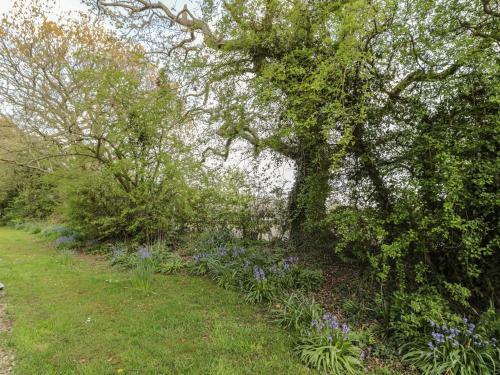 Robin Cottage