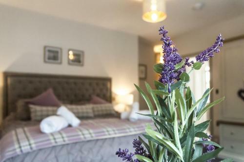 Cilrhiw Country House - Princes Gate - Narberth