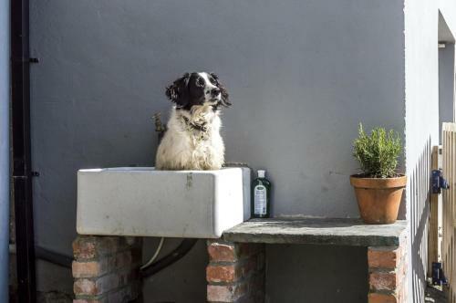 Ashgrove Farm - 1 Bedroom Apartment - Llawhaden - Narberth