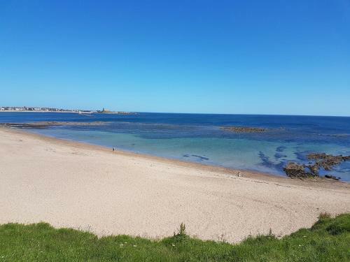 Beach Cove View