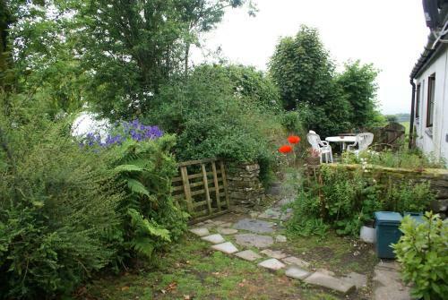 Comfort Cottage Healing