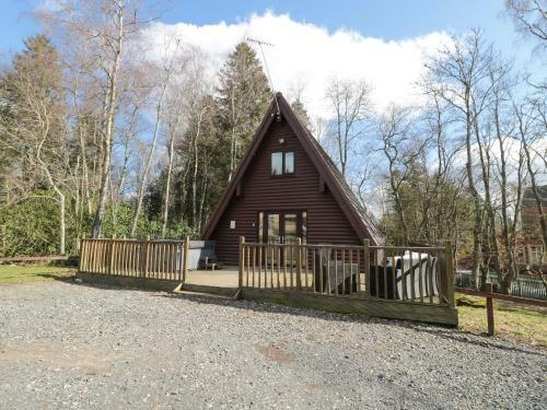 Squirrel Lodge