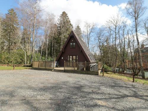 Squirrel Lodge