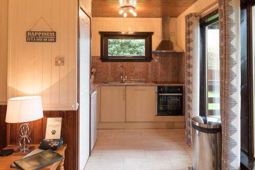 Birch Lodge 23 With Hot Tub Newton Stewart