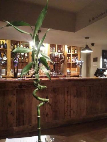Hotel The Stag