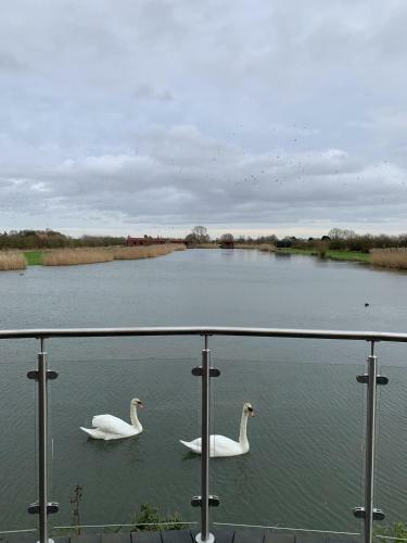 Lakeside Fishing Lodges