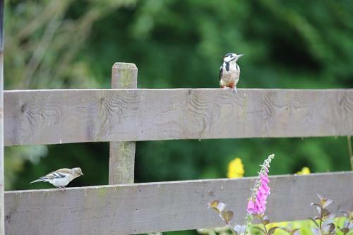 Bed & Breakfast Inverasdale