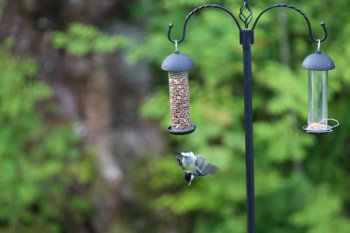 Bed & Breakfast Inverasdale