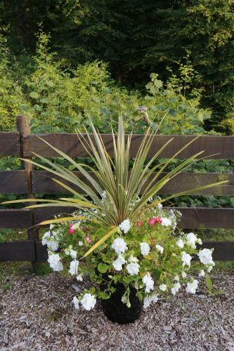 Bed & Breakfast Inverasdale