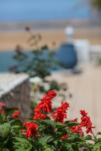 Hotel H�tel L'hippocampe