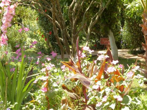 Bed & Breakfast La Villa Mandarine