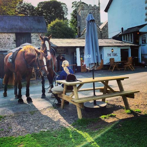 Hotel The Tors