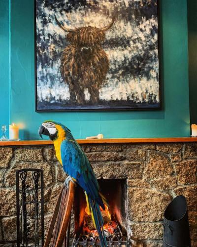 Hotel The Tors