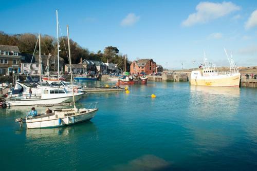 Stargazy, Padstow