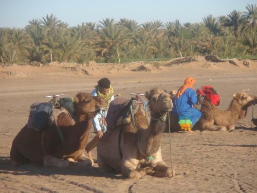Riad Aicha
