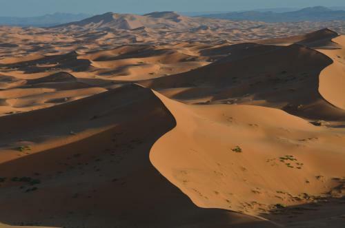 Hotel Kasbah H�tel Erg Chebbi