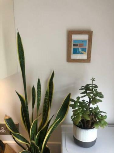 Apartamento Immaculate 2-bed Loft St Ives 2 Min From Beach
