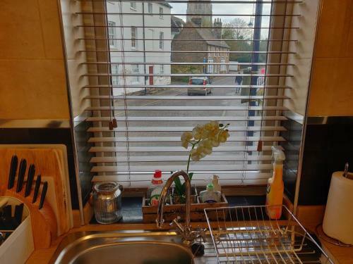 Waterfront Apartment In The Heart Of St Neots