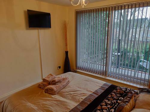 Waterfront Apartment In The Heart Of St Neots