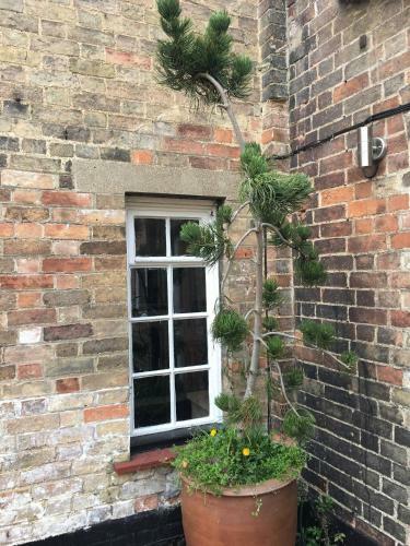 The Old Rose And Crown - St Neots