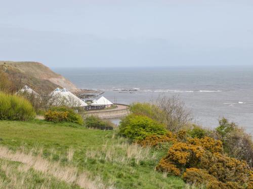 Bettys Plaice