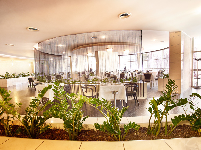 Hotel Continental Arad