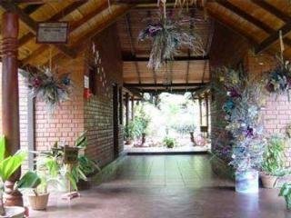 Hotel Tree Of Life