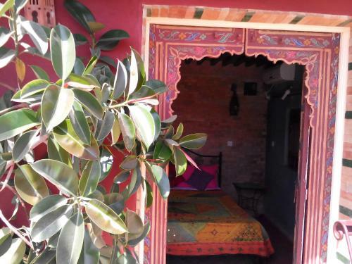 Riad Ryad Bahia