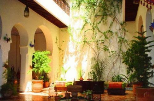 Riad Ryad Bahia