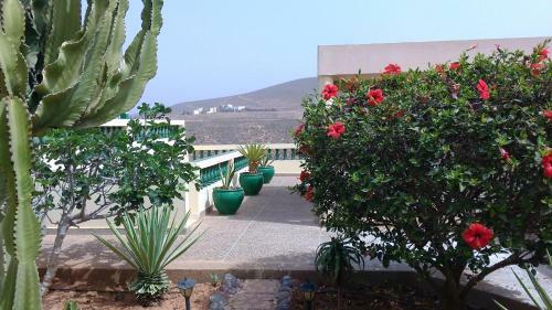 Bed & Breakfast Dar Saada