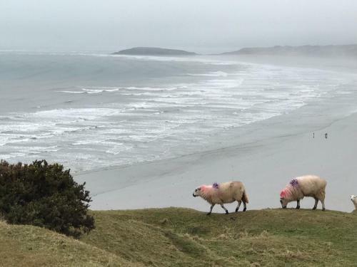 Wynberg House A Bed & Breakfast