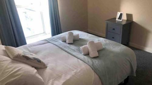 Comfy Stays Swansea Flat 3